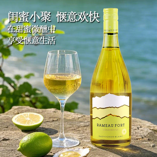 捡漏价！新西兰原瓶进口 | 拉摩图堡长相思干白  马尔堡核心产区 口感清爽果香四溢微醺 螺旋瓶盖方便饮用冰镇口感更佳 商品图4