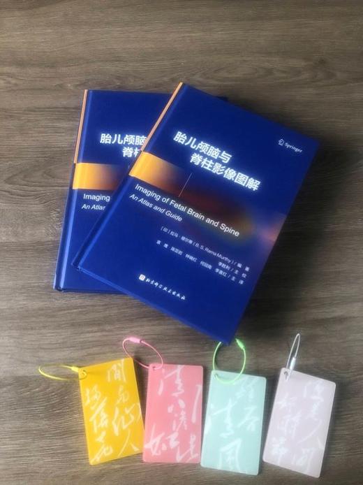 胎儿颅脑与脊柱影像图解（新媒体定制版） 商品图4
