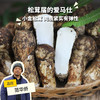 野生小金松茸 | 合作生产 * Wild Xiaojin Matsutake | Partner Production 商品缩略图0