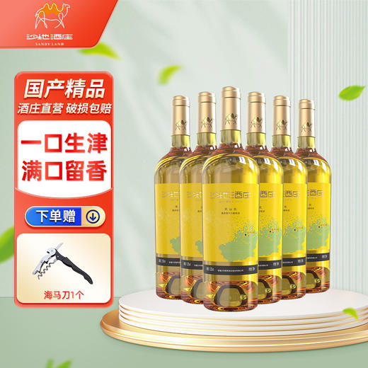 沙地酒庄·天山北霞多丽千白葡萄酒 750ml*6  原生态基地葡萄 性价比之选 商品图2