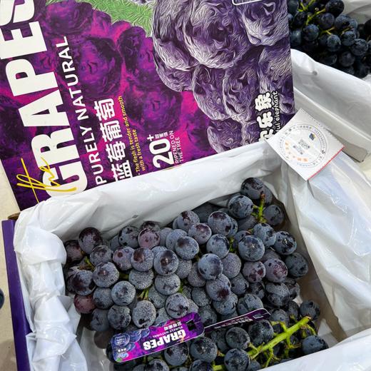 蓝莓葡萄 新鲜采摘 又水又甜 商品图1