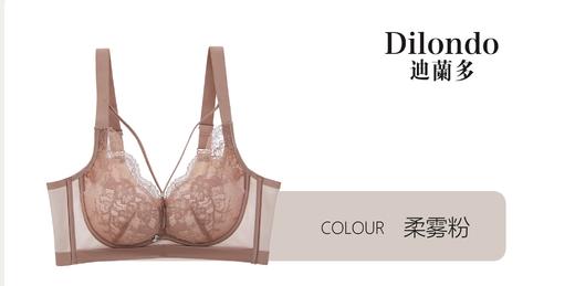 迪兰多蕾丝文胸中厚款舒适透气聚拢显瘦2118459 商品图8