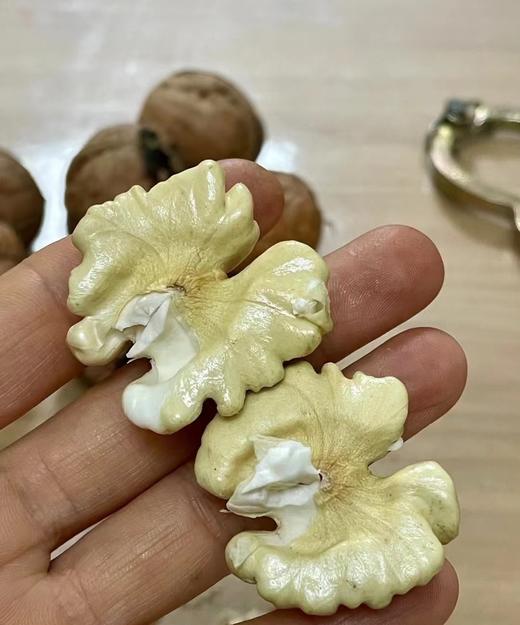 四川大凉山去皮鲜核桃 家庭装5斤 商品图4