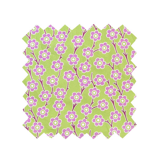 LT235D  活力  Pep   季节款  269/M  邮费到付 商品图0