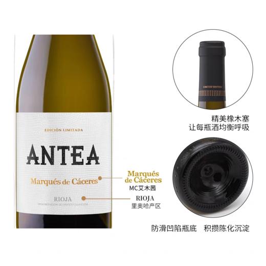 【MC卡塞里侯爵】安地陈酿干白葡萄酒  稀缺的老藤维尤拉白葡萄和白丹魄品种混种并混酿而成  百年名庄全球50大葡萄酒品牌之一 西班牙原瓶进口 DOC等级 偏远地区不发或请询客服 商品图1