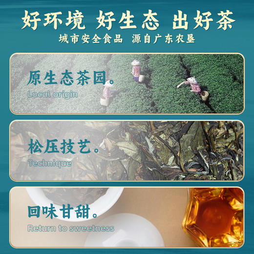 【中国农垦】雄鸥半岛寿眉白茶300克 商品图1