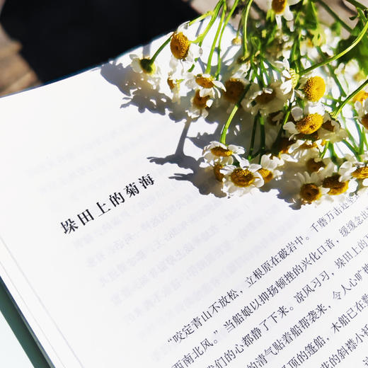 与尔同消无尽夏：明前茶自选集 | 治愈系作家书写世间流离之美 商品图5
