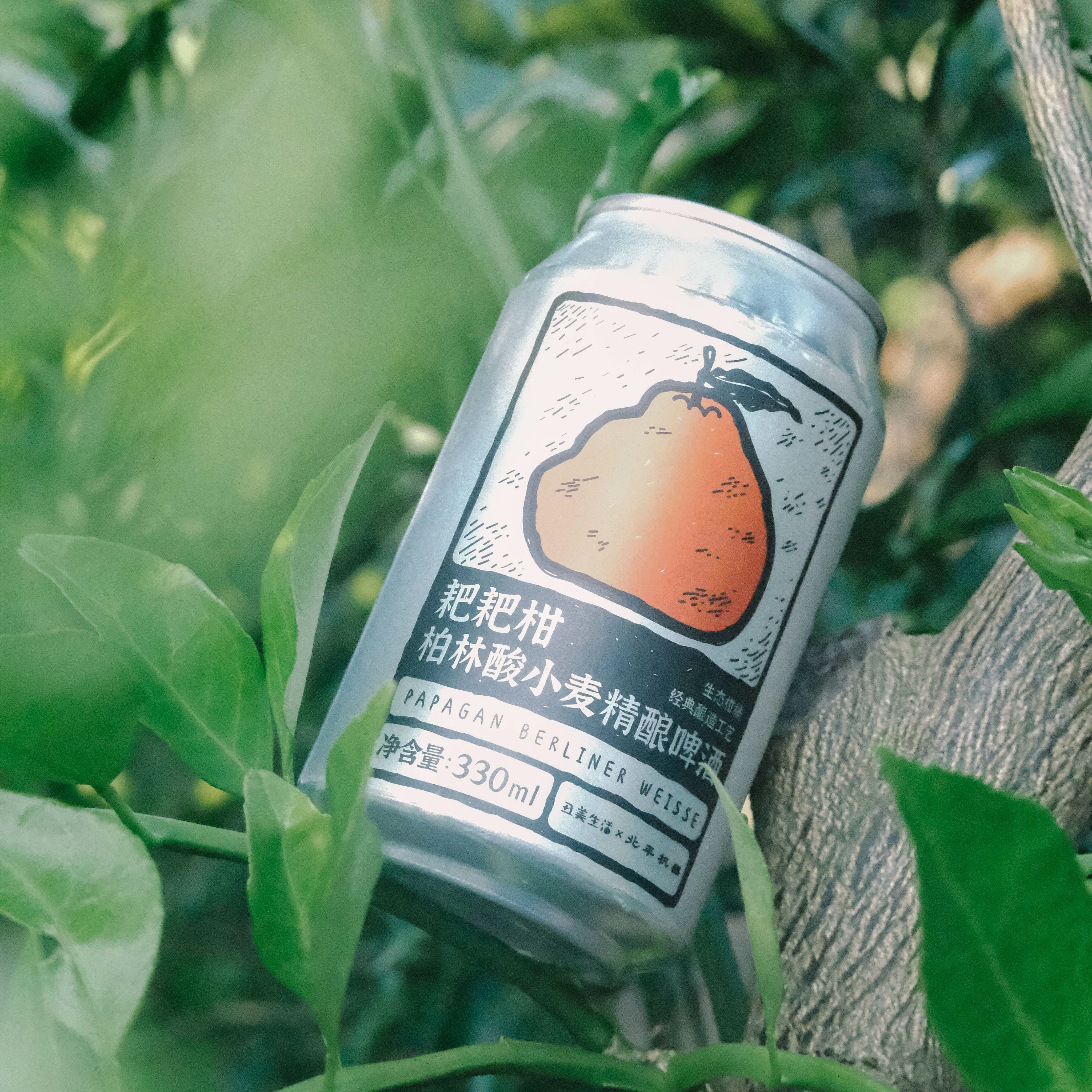 耙耙柑柏林酸小麦精酿啤酒  330ml*6瓶装