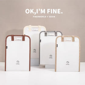 吉言淡淡系列PP竖版风琴包试卷资料手提袋（颜色随机）