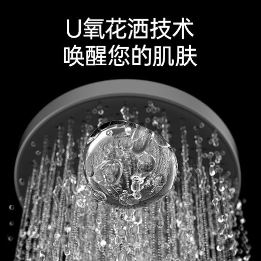 【门店款】帝王洁具TC24030花洒家用淋浴套装卫浴极简淋浴枪灰色增压沐浴 商品图1