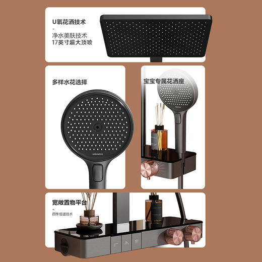【门店款】帝王洁具TC24028-1花洒套装恒温淋浴套装置物台强劲喷枪沐浴花洒 商品图1