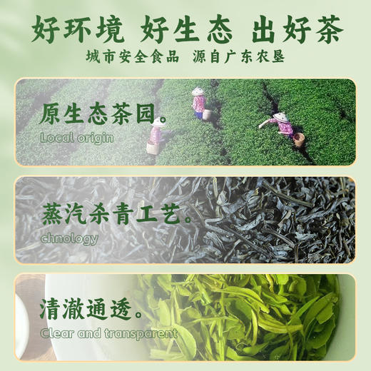 【中国农垦】雄鸥春尖绿茶300克 商品图1