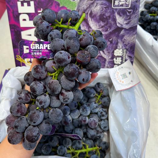 蓝莓葡萄 新鲜采摘 又水又甜 商品图0