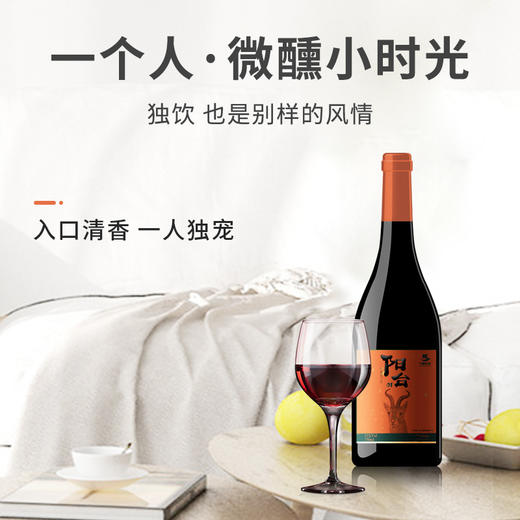 【中国农垦】西夏王阳台01赤霞珠干红750ML 商品图4