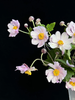 国产小众花材紫菱花/碗兰/5支 商品缩略图2