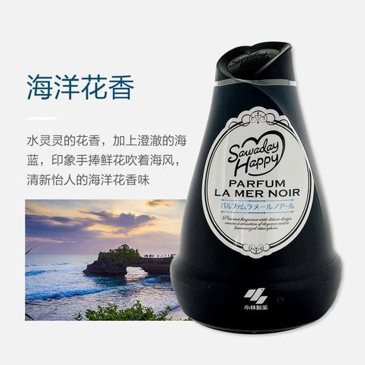 日本小林制药固体消臭元衣柜香薰厕所卫生间除臭味神器空气清新剂效期26年3月 商品图1