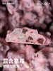 ISOCHOC/草莓/墩墩巧克力 商品缩略图1