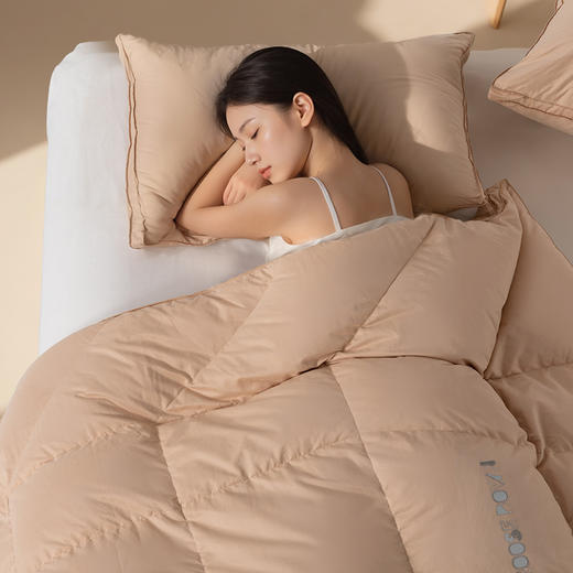 多喜爱 金羽朵95进口白鹅绒冬被-羽白/云紫/雪金【95%绒子含量】【分区保暖工艺】【皮箱包装】【1000+清洁度】【波兰进口】【柔暖缎面料】【A类品质】匠人手挑白绒 黄金取绒位 商品图6