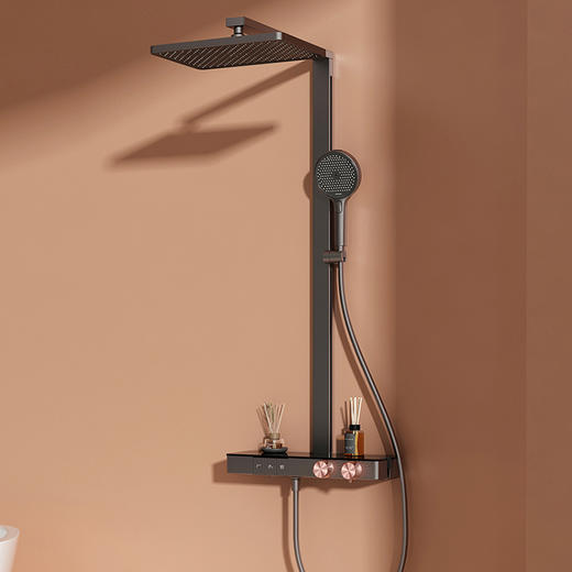 【门店款】帝王洁具TC24028-1花洒套装恒温淋浴套装置物台强劲喷枪沐浴花洒 商品图0