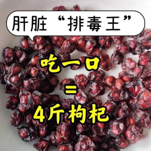 【东北“红宝石”，失眠者福音】长白山特产 道地北五味 五脏俱养 药食同源 本草纲目记载改善睡眠质量，减轻疲劳，提高精神状态 商品图1