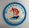 通版佛山市顺德区大闸小学包边校徽校服标姓名贴章可缝烫现货发51 商品缩略图0