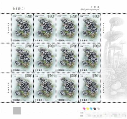 《食用菌（二）》特种邮票  2025-11 商品图4