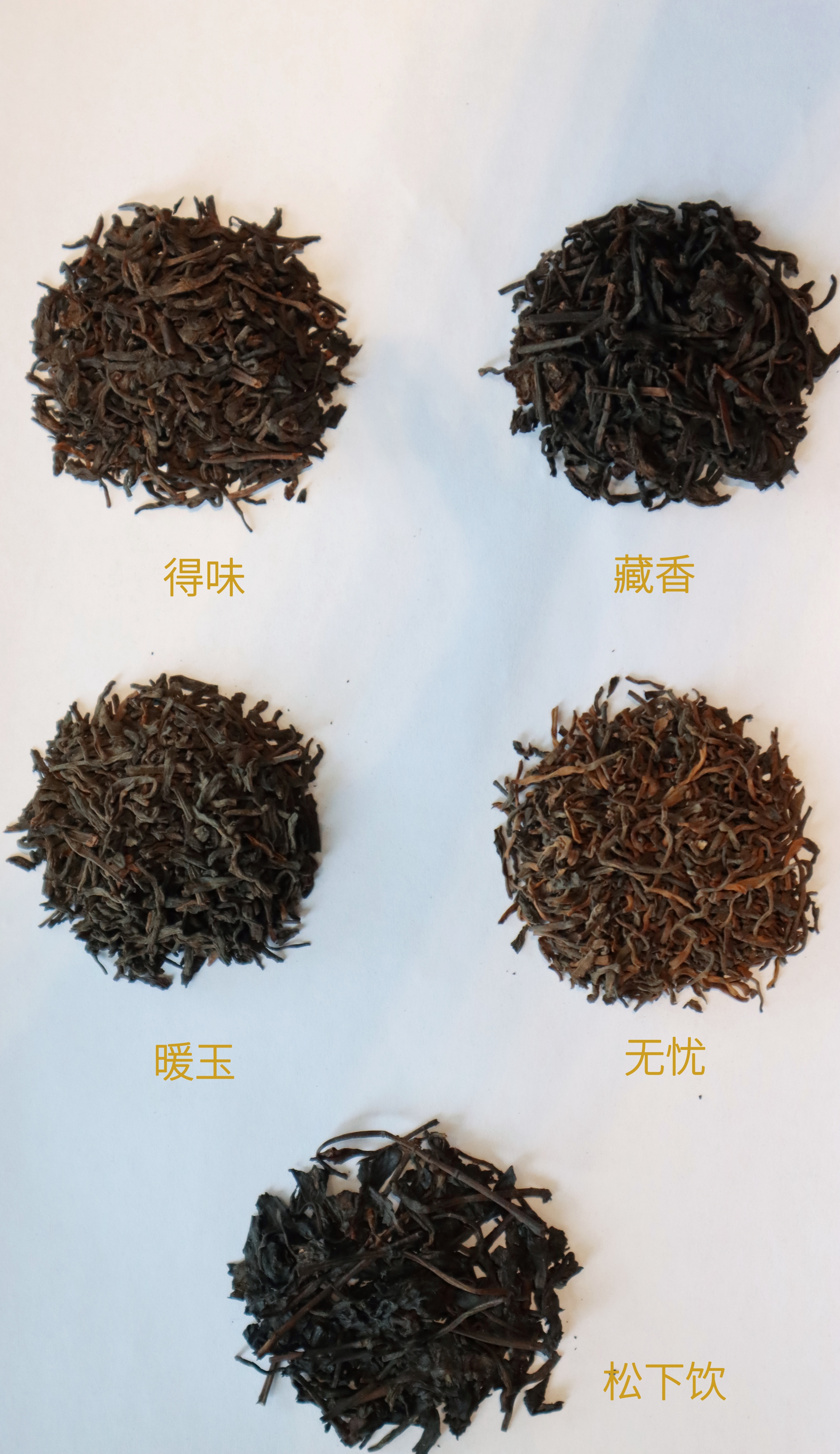 六堡茶样品鉴套组 2015年-90年代中期现代工艺+2005年桂北荒野传统工艺 五款