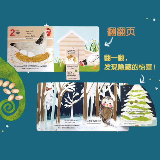 【童趣】DK翻翻书：谁藏在后面 4册 商品图7