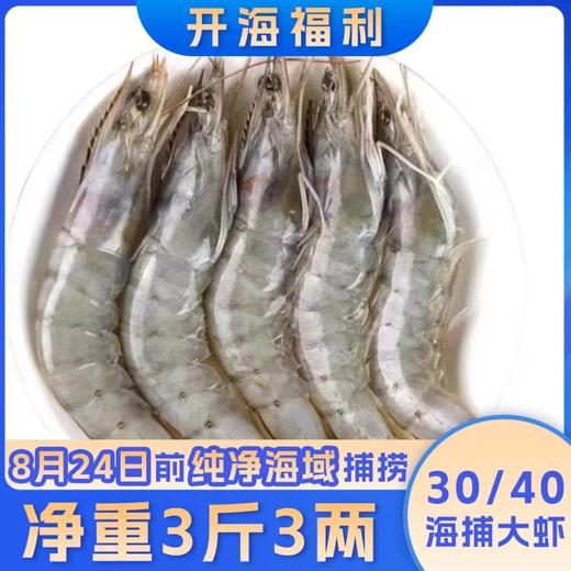 大海主义厄瓜多尔30/40海捕大虾天然海域捕捞，鲜活速冻 商品图0