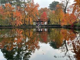 适合12月份的自驾路线推荐