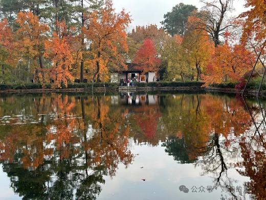 适合12月份的自驾路线推荐 商品图0