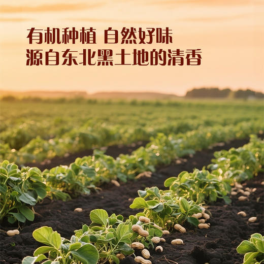 MM 山姆 Member's Mark 有机花生 1.7kg 商品图2