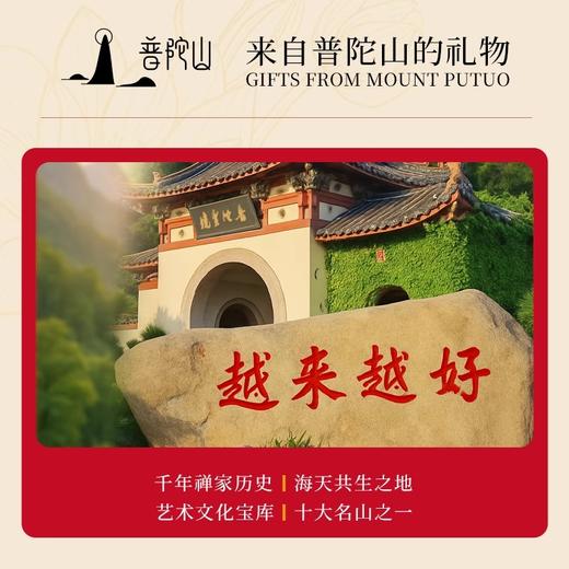 【普陀过香款】象牙果菩提果宝宝佛 静心可送人自用-普陀山发货 商品图6