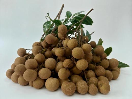 高州储良龙眼5斤装（省内） 商品图2