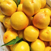 【顺丰发货】现摘现发 | 芒果黄桃/山西黄金油桃 家庭装/礼盒装  4.5斤/8.5斤 商品缩略图2