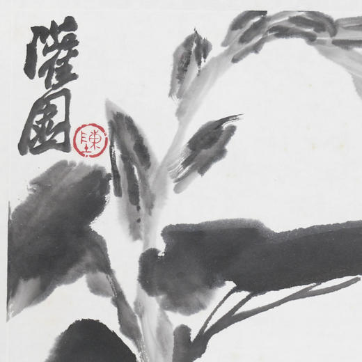 陈太一《剑兰》国画原作33CM*33CM 手绘宣纸花鸟作品 商品图2