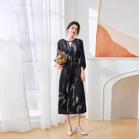 ASE实拍2025春夏新款时尚印花长款印花裙韩版设计感宽松休闲桑蚕丝裙