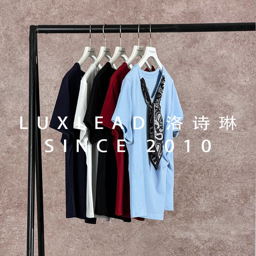 「老顾客开团福利」高级感优雅丝巾T恤2025夏季正肩不规则纽结短袖女62459 商品图0