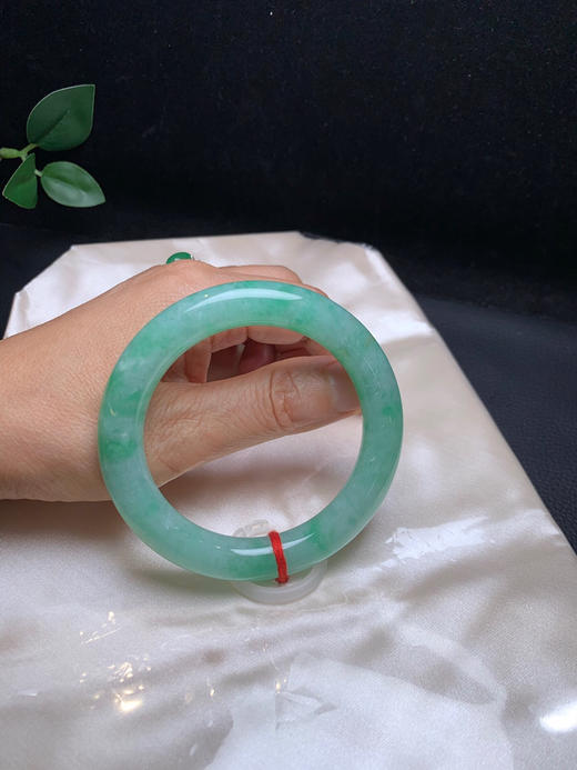 620541，56绿底圆条，满圈带果绿底色，色清新甜美 商品图5