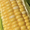 【云南好物】甜脆水果玉米  3斤/5斤 商品缩略图6