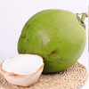  海南带皮椰青新鲜椰子汁多肉嫩 商品缩略图5