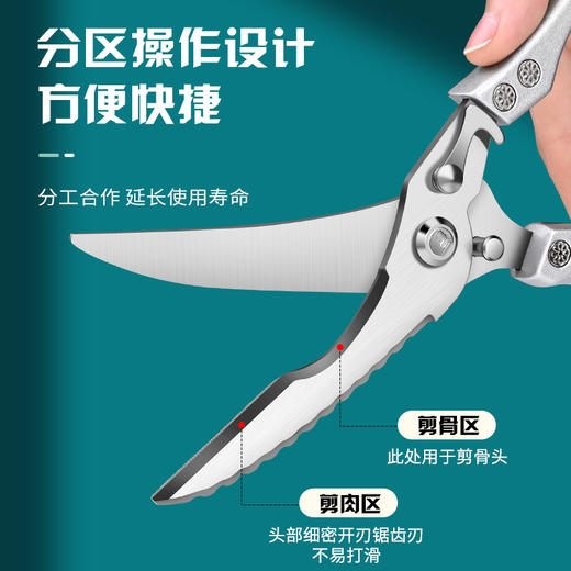 【强力厨房剪刀，专剪厚硬骨头！】剪刀厨房剪烤肉剪鸡骨剪 家用新款厨房多功能不锈钢骨头剪-QA 商品图2
