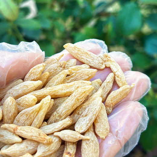 『云南山货』茯苓+黄芪+麦冬+三七+党参+太子参+乌天麻 商品图7