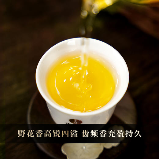 2025年【班章石斛】古寨春自主研发产品云南普洱茶云南铁皮石斛的邂逅 357g/饼 商品图1