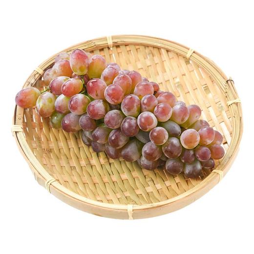 茉莉香葡萄 600g/份（新鲜） 商品图2