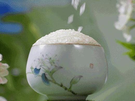 MM 山姆 十月稻田 新鲜米 5kg（2.5kg*2） 商品图7