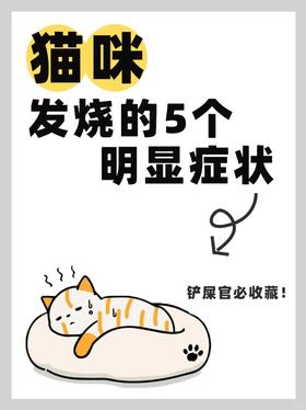 猫咪发烧的居家判断指南｜铲屎官必收藏！