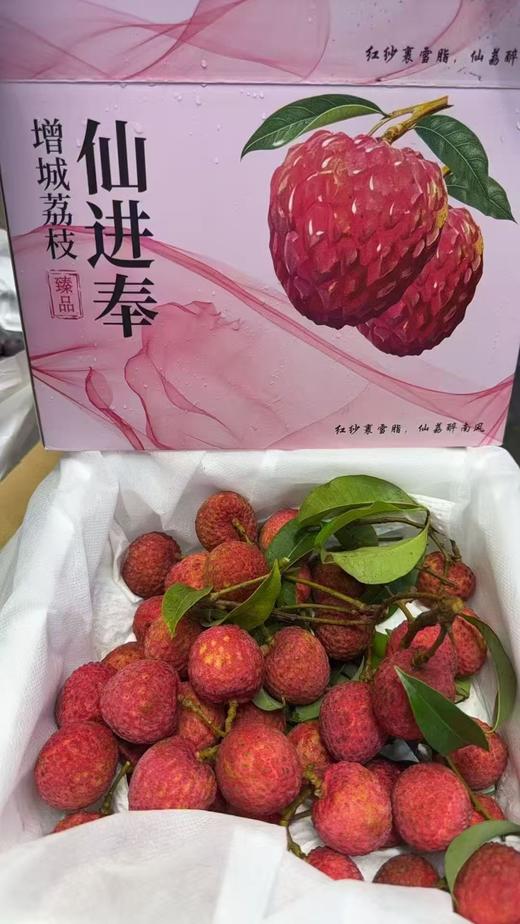仙进奉荔枝 新鲜采摘 纯甜果肉 爆汁 商品图1