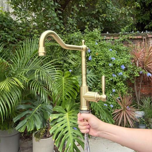 复古风不锈钢龙头（德国唯宝同款同工厂） 商品图1