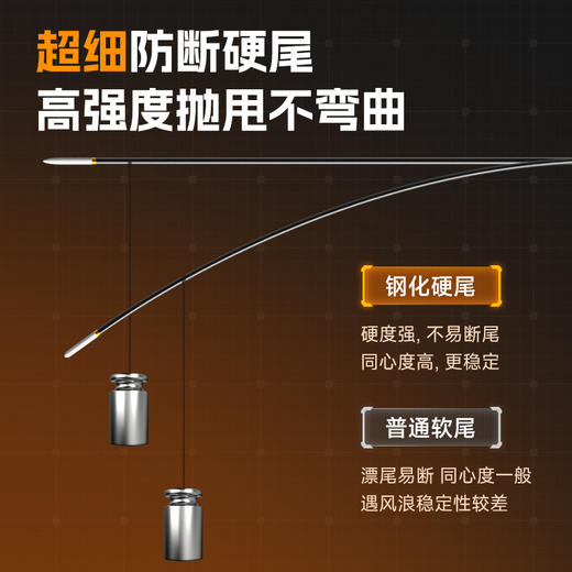 佳钓尼LED夜光浮漂专业钓翘嘴小米翘高灵敏 商品图3
